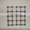 Geogrid mesh