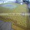 Fireproof woolen handmade carpet for hotel lobby and hall                        
                                                Quality Choice