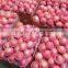 shanxi qinguan apples new season high quality red qinguan apples