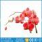 Best Price Interior Decoration Unbreakable Glass Sheet