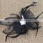 Women's Hat Style Cap With Feather Bowknot Fascinator Party Decor Hair Clip