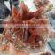 100% Natural Rare Red Crystal Clusters Rough Crystal Stones Ornaments