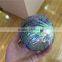 Polished Abalone Colorful Shell For Sale