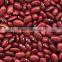 we are supply English red kidney beans with best price for sale