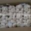 China Fresh Garlic for sale,Normal white garlic and Pure white garlic orign in Jinxiang