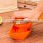 Cheap And Convenient Fruit Juicer Machine Looks Like Boat