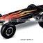 800W Electric skateboard