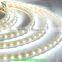 Zhongshan manufacturer SMD 5050 SMD 2835 flexible strip light rope light