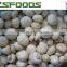 Frozen IQF White Button Mushroom Made in China