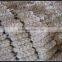 China Fresh Garlic 2016 Crop in Low Price