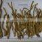 100% Natural Baikal Skullcap Root Tea Bag Cut F/C Fine Cut,T/B,Medium Cut, Coause Cut C/C,Extraction Cut EX