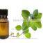 LOW PRICE ! Wild Oregano Oil