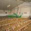 Automatic Poultry Chicken Feeders and Drinkers for Floor Chickens