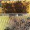 Honey Automatic Flow Bee Hive Flow Beehive Frame for BeeKeeping