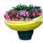 plastic flower pot