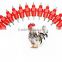 Water saving automatic poultry nipple drinker for chicken