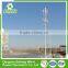 Competitive Price French Style 500w home built vertical wind turbine street lights