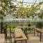 easy installed galvanized tunnel single span farm greenhouse for sale