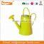 Stainless Steel Handle Oval Colorful Galvanized Metal Watering Can