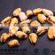 Price of Mussels in Shellfish Import Export Frozen Seafood
