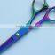 6.5 inch New Design YiJiang japanese pet / pet grooming scissors