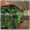 Hot sale plastic outdoor Nature green wall Garden decoration plants artificial boxwood hedge artificial hedge fence