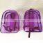 Clear Transparent PVC Multi-pockets School Backpack Outdoor Backpack