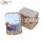 Wholesale Rose Golden Cardboard Suitcase for Gifts