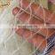 HDPE anti-bird net/ bird netting for fruit trees /Agricultural protection net