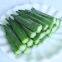 IQF Okras