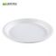 Disposable Biodegradable 10 INCH PLATE Take away Sugarcane bagasse party plate