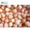 Sinocharm High Quality Wholesale IQF Frozen Lychee Price