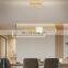 Modern Nordic Indoor Lighting Metal Black Gold Aluminum LED Ceiling Light Pendant LED Lamp