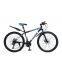 Factory Wholesale 26, 29 inch Mountain Bike Adult Bicycle Cheap Spot