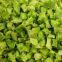 pure nature freeze dried green bell pepper distributor