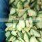export high quality frozen marrow squashes with low price