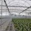 Hot Dipped Galvanized Frame Double Layers Inflatable Greenhouse