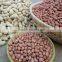 new products organic peanut kernels,blanched peanuts ,raw green peanuts for sale