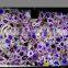 Semi preious purple raw brazil agate