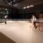 dovetail slides/floor ball/hdpe synthetic ice