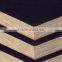 18mm WBP Glue Marine Plywood Construction Material