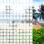 Hot sale little white Square Design PET home and office privacy protection decorative Window Film