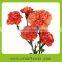 Reasonable price best selling fresh cut flower of pink carnation flower
