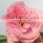 Alibaba china hotsell fresh cut flower eustoma lisianthus