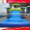 Professional supplier giant inflatable slide,inflatable water slide clearance