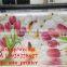 eco solvent led uv flatbed printer uv roll to roll printer 1024i printheads 3.2m