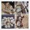 Vegetable Protein Food Extrusion Machine/Textured Soya Bean Protein Nuggets Production Machine