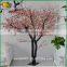 Wedding decorative tree hot sale mini artificial cherry blossom tree                        
                                                Quality Choice