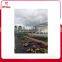 top seller green house film for agriculture from China