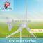 1KW High Efficiency Variable Pitch Wind Turbine Electric Generating Windmills for Sale